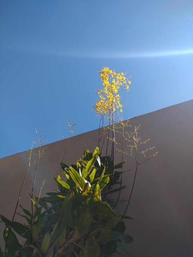 Willa Nossa Casinha Atibaia - Linda Vista Pra Pedra Grande Zewnętrze zdjęcie