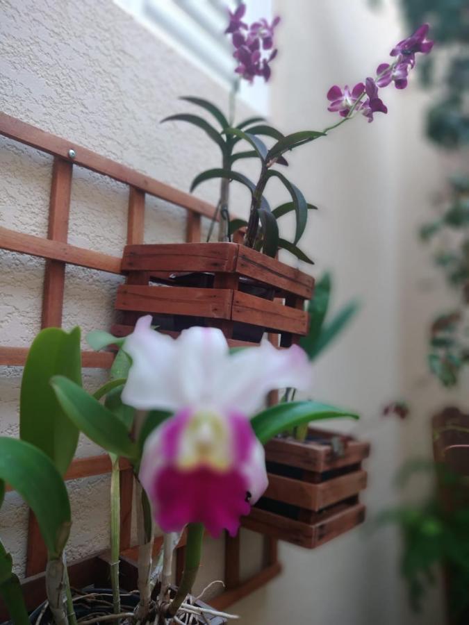 Willa Nossa Casinha Atibaia - Linda Vista Pra Pedra Grande Zewnętrze zdjęcie